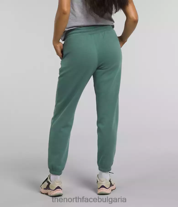 облекло The North Face спортни панталони от полар с половин купол тъмен градински чай/tnf бял Жени 40DF0976