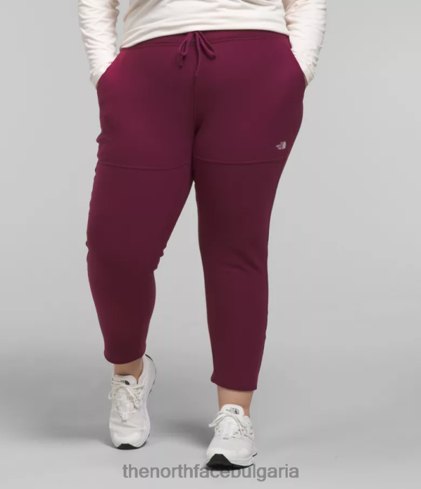 облекло The North Face плюс панталони alpine polartec 100 момченце Жени 40DF0251