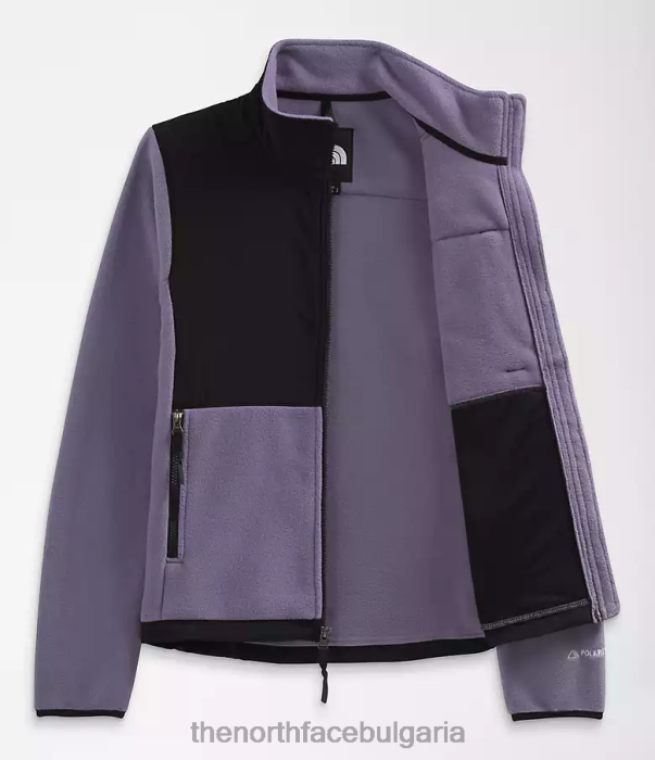 облекло The North Face яке денали лунен шисти Жени 40DF0151