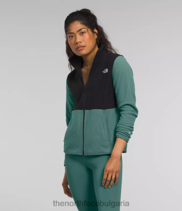 облекло The North Face яке alpine polartec 100 тъмен градински чай/tnf черен Жени 40DF0443