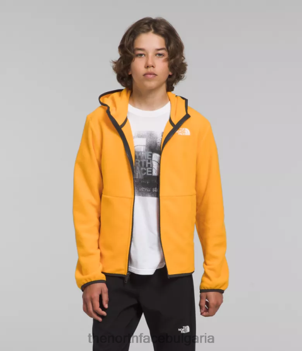 облекло The North Face яке с качулка и пълен цип glacier злато на върха деца 40DF0948