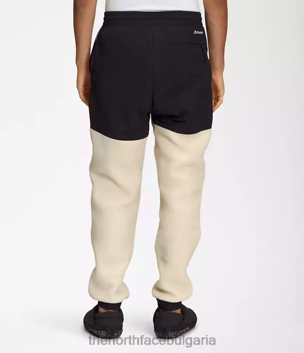 облекло The North Face денали панталони чакъл мъже 40DF0878