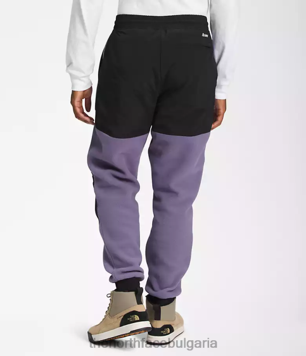 облекло The North Face денали панталони лунен шисти/tnf черен мъже 40DF0880