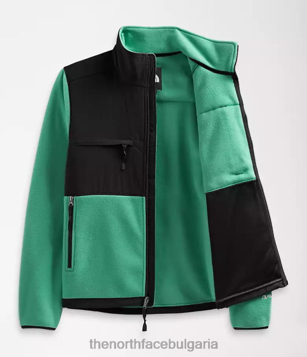 облекло The North Face яке денали наситено тревисто зелено мъже 40DF0197