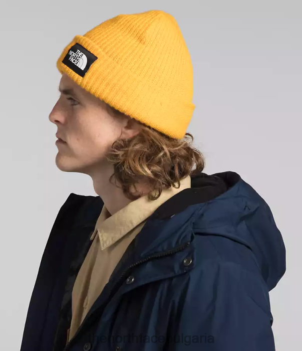 облекло The North Face арктична парка gtx среща на върха флот мъже 40DF01069