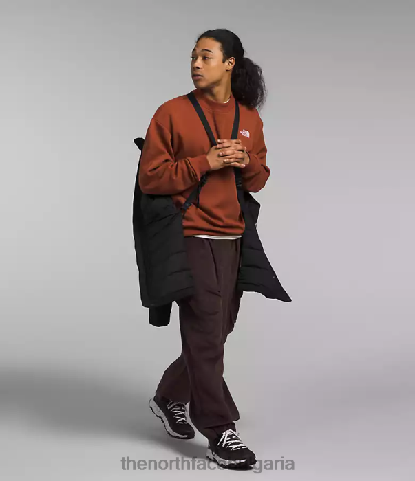 облекло The North Face арктична парка премиум tnf черно мъже 40DF094